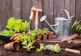 Top 10 Must-Have Items for Your Garden